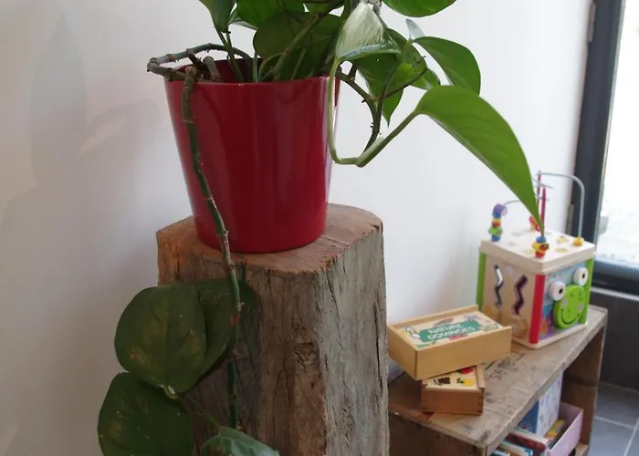 בית נופש Cosy Ferme De Village En Baie Du Mont Saint Michel *