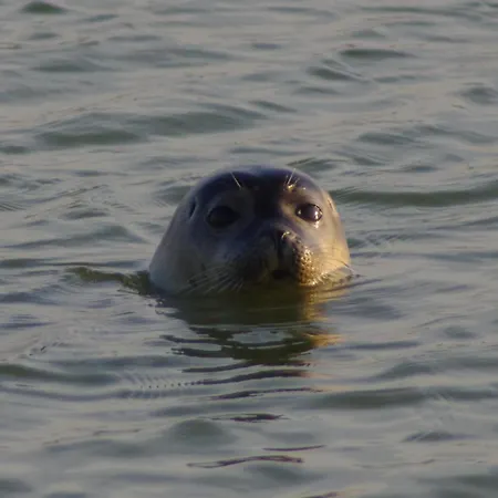 Cosy Ferme De Village En Baie Du Mont Saint Michel
