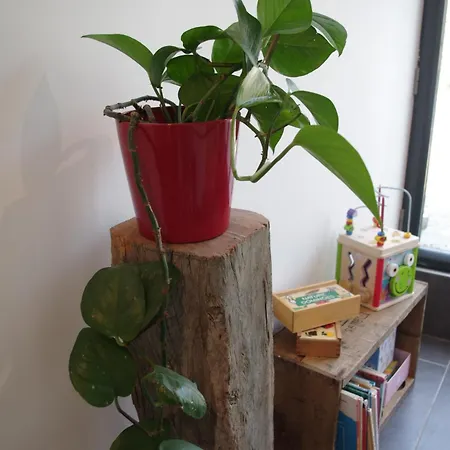 Сasa de vacaciones Cosy Ferme De Village En Baie Du Mont Saint Michel *