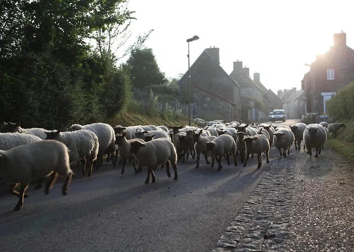 بيت للعطل Cosy Ferme De Village En Baie Du Mont Saint Michel Vains