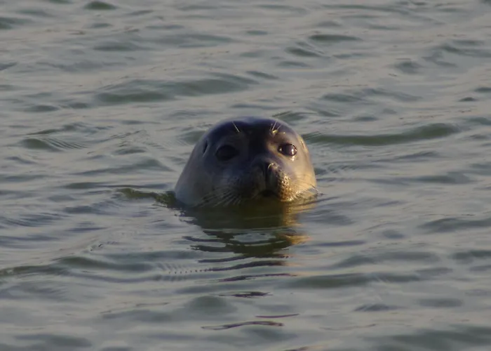 Cosy Ferme De Village En Baie Du Mont Saint Michel
